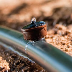 GOTERO SUPERTIF AUTOCOMPENSANTE