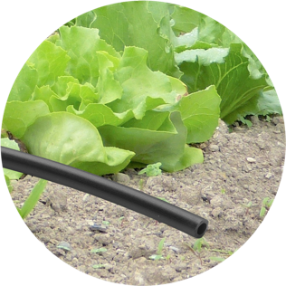 MicroTubo Polietileno-PVC