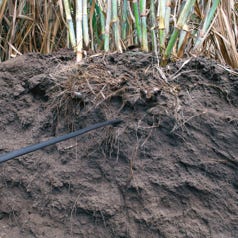 TUBERÍA HPCND AUTOCOMPENSANTE