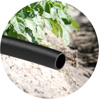 Tubería Goteo Alimentario